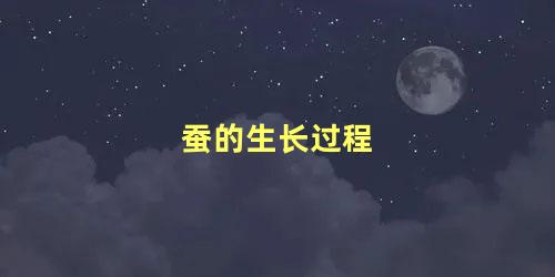  蚕的生长过程